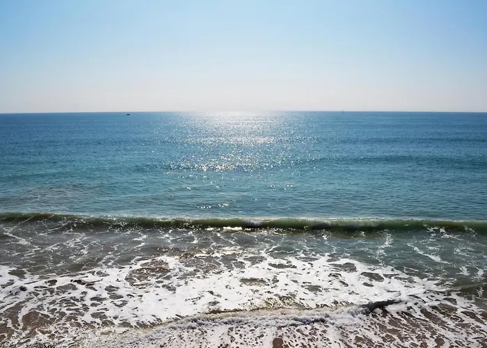 Rocha Premium By Algest * Portimão