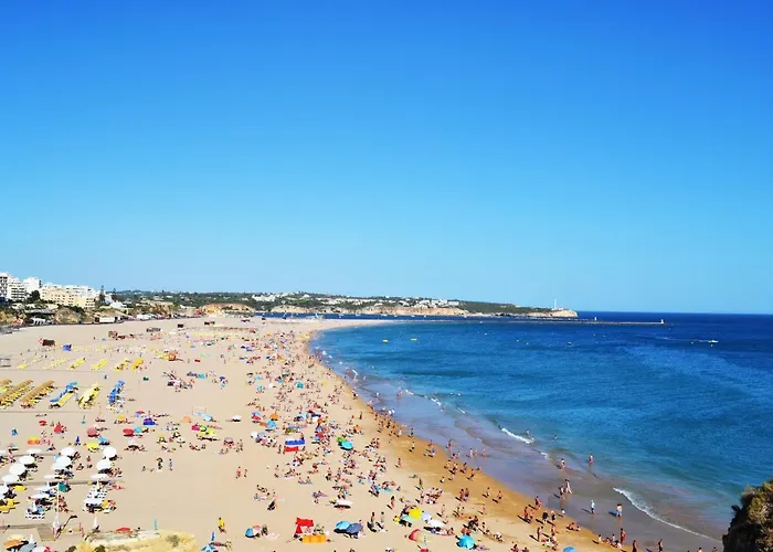 Rocha Premium By Algest Daire